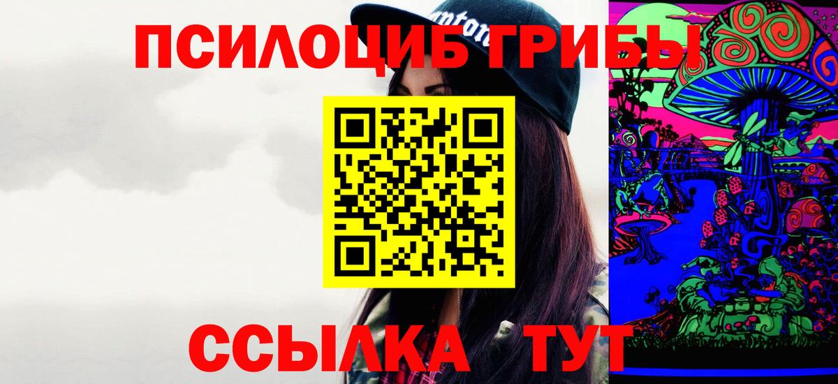 Галлюциногенные грибы прущие грибы  Вход с VPN  Донецк  Галлюциногенные грибы Cubensis 